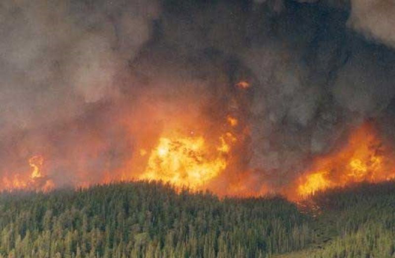 Požiar v okolí Marseille zničil 250 hektárov lesa