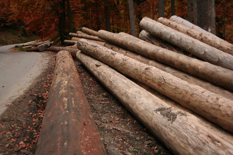 Akčný plán rozvoja okresu Revúca ráta s drevom
