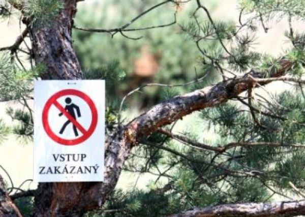 Zakázali vstup do časti vojenských lesov na Záhorí
