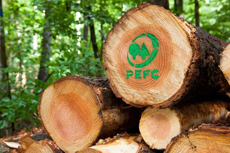 Ako si stojí certifikácia PEFC na Slovensku?