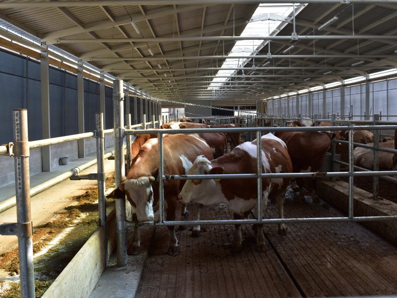 Vláda schválila zonácie štyroch národných parkov: LESY SR budú musieť pristúpiť podľa šéfa agrorezortu k organizačnej zmene naprieč celým Slovenskom