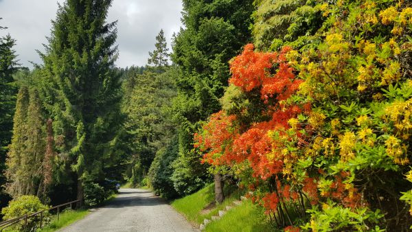 K&uacute;peľn&yacute; park v &Scaron;t&oacute;se s prim&aacute;rnou liečebnou funkciou 