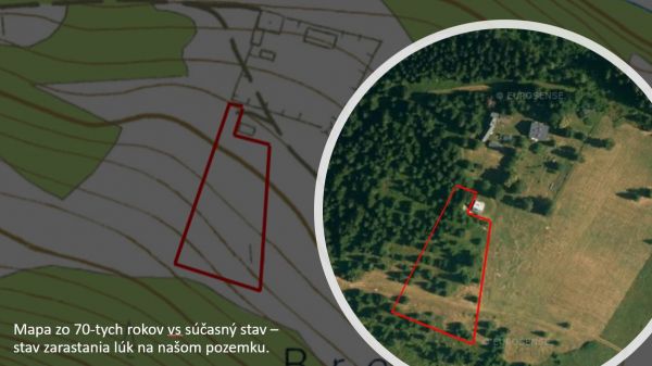 Ilustračn&eacute; foto k statusu Zuzany Ga&scaron;per&iacute;kovej Jur&iacute;čkovej na soci&aacute;lnej sieti 