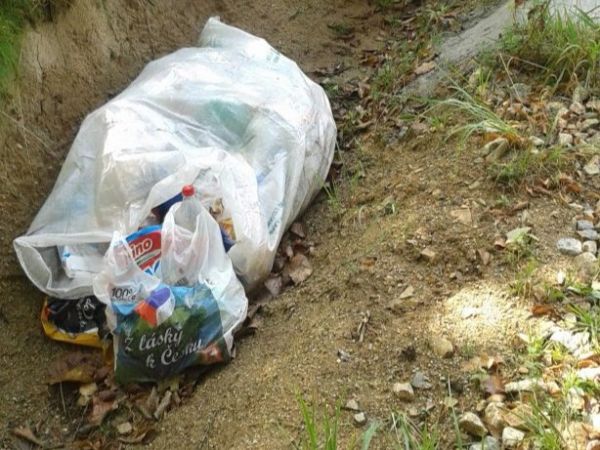 Zdroj: Internetová stránka Lesy ČR š. p. 