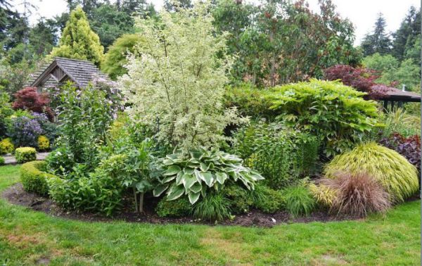 Zelen&eacute; opatrenia pre samospr&aacute;vy