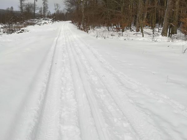 Ilustračné foto: archív Lesmedium.sk 