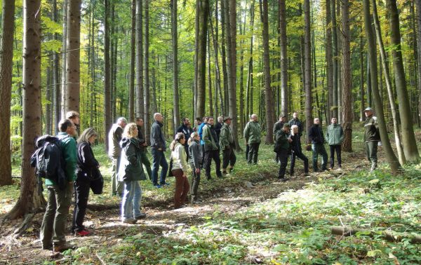 Ilustračn&eacute; foto