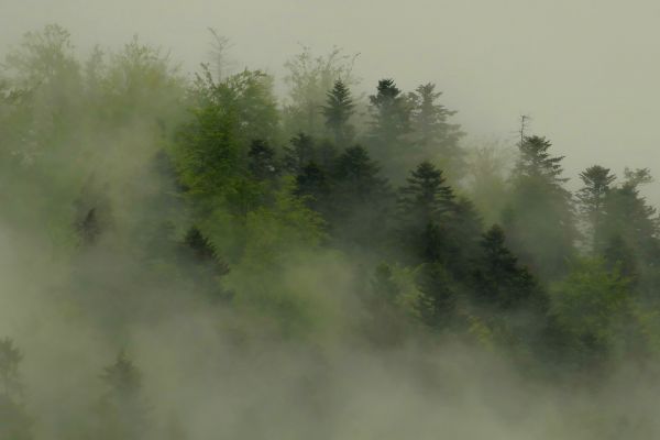 Ilustračné foto: Marek Pindroch