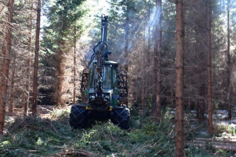 Ilustračné foto: Jozef Marko 