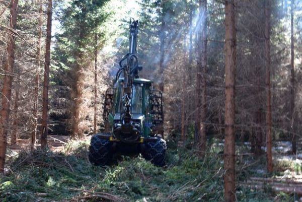 Ilustračné foto: Jozef Marko 