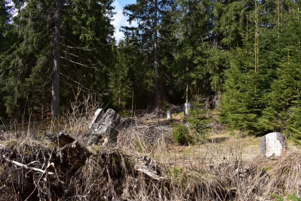 Ilustračn&eacute; foto Jozef Marko