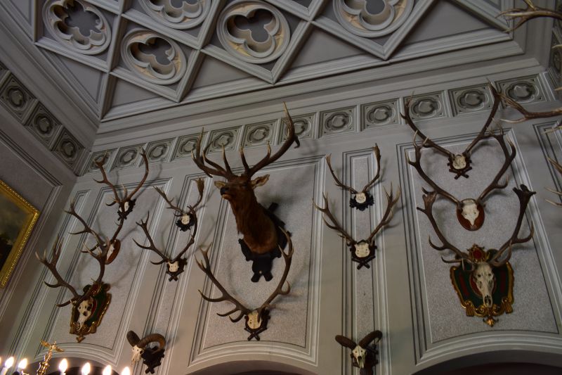 Ilustračné foto Jozef Marko