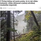 Zdroj: FB profil Michala Kravč&iacute;ka 