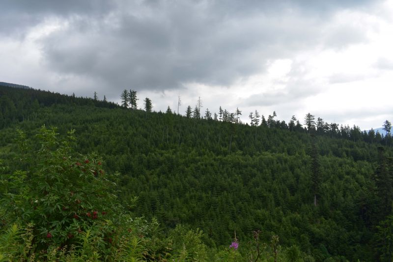 Ilustračné foto: Jozef Marko 