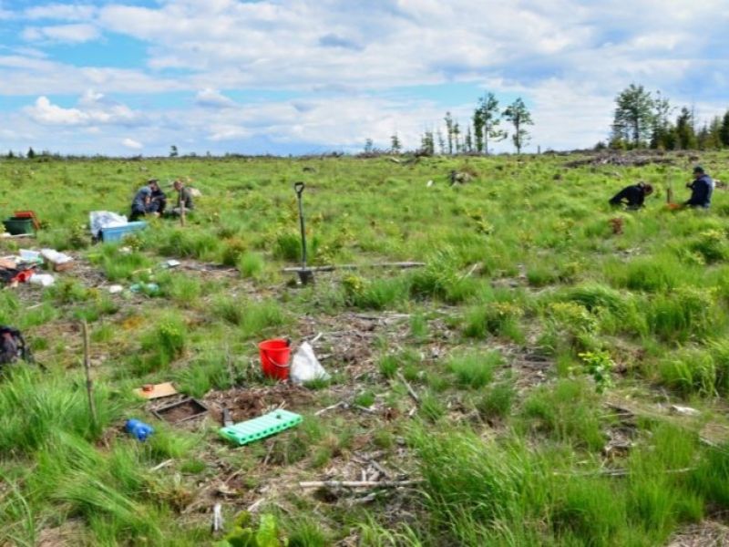 Zdroj: Internetová stránka VÚLHM 