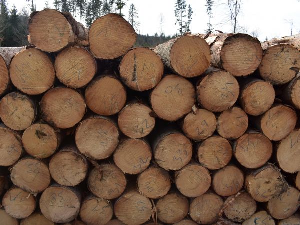 Ilustračné foto: Jozef Marko 