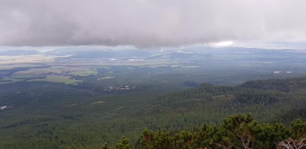 Pohľad na lesn&iacute;kmi obnoven&eacute; kalamitn&eacute; plochy vo Vysok&yacute;ch Tatr&aacute;ch