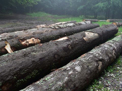 Ilustračné foto: Jozef Marko 