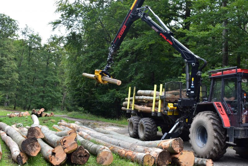 Ilustračné foto: Jozef Marko 