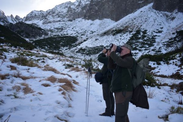 Lesn&iacute;ci pri poč&iacute;tan&iacute; kamz&iacute;kov v Rovienkovej doline v TANAP-e