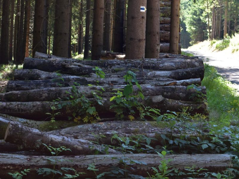 Ilustračné foto: Jozef Marko 