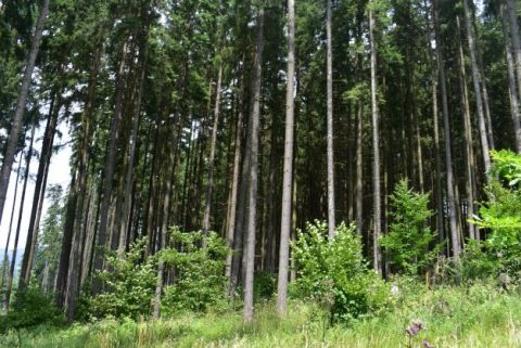 Ilustračné foto Jozef Marko