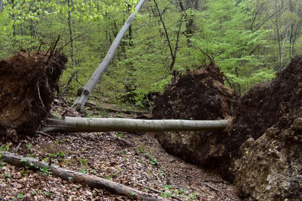 Ilustračné foto: Jozef Marko 