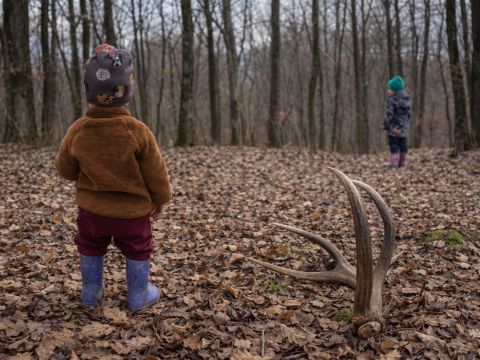 Zdroj: FB stránka Lesná pedagogika 