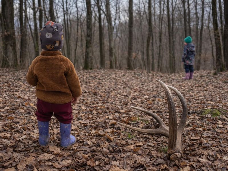 Zdroj: FB str&aacute;nka Lesn&aacute; pedagogika 