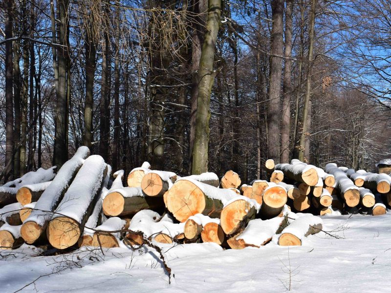 Ilustračn&eacute; foto: Jozef Marko 