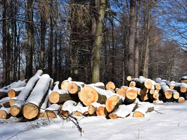 Ilustračn&eacute; foto: Jozef Marko 