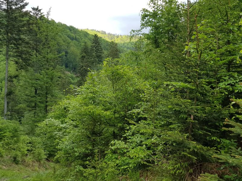 Foto k statusu Ing. R&oacute;berta Gomb&aacute;rika 