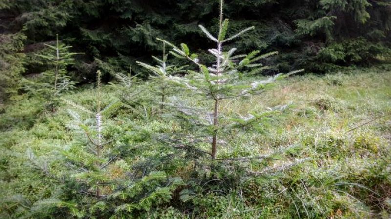 Ilustračné foto: Vincent Synák 