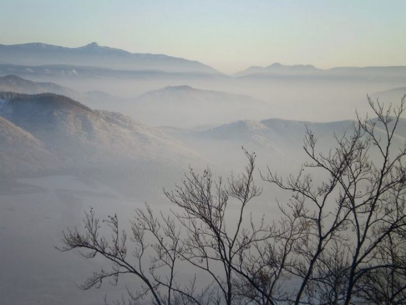 Ilustračné foto: archív Lesmedium.sk