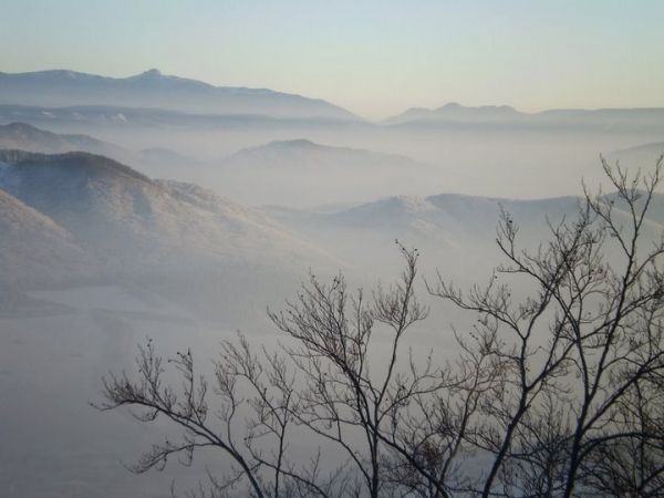 Ilustračn&eacute; foto: arch&iacute;v Lesmedium.sk