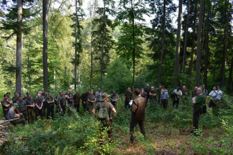 Mestské lesy Košice nedávno organizovali  odborný seminár o prírode blízkom hospodárení v bučinách počas klimatickej zmeny 