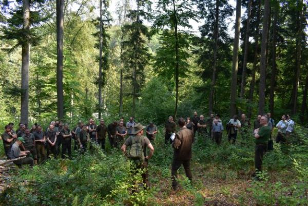 Mestské lesy Košice nedávno organizovali  odborný seminár o prírode blízkom hospodárení v bučinách počas klimatickej zmeny 