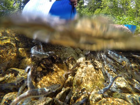 Ilustračné foto ŠL TANAP-u