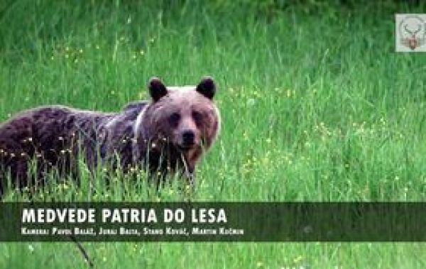 Ilistračné foto: FB stránka Slovenskej poľovníckej komory 