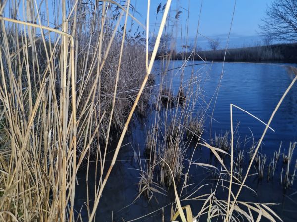 Ilustračné foto: Ing. Róbert Gombárik 