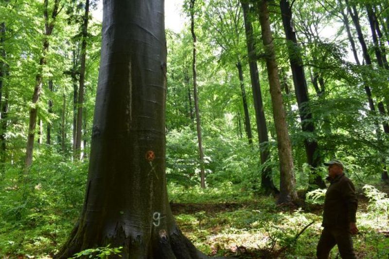 Ilustračné foto Jozef Marko