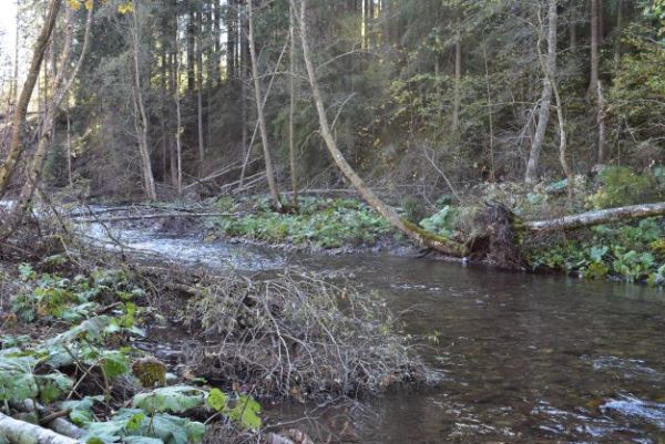 Ilustračn&eacute; foto Jozef Marko