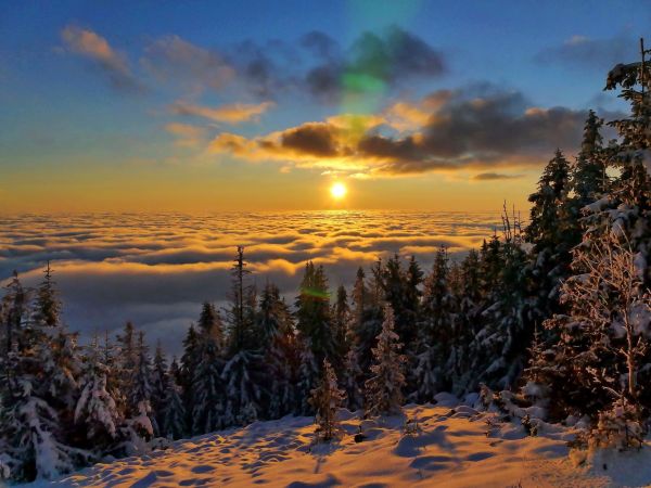 Ilustračné foto: Marek Pindroch