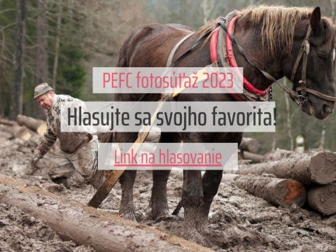Zdroj: PEFC Slovensko 