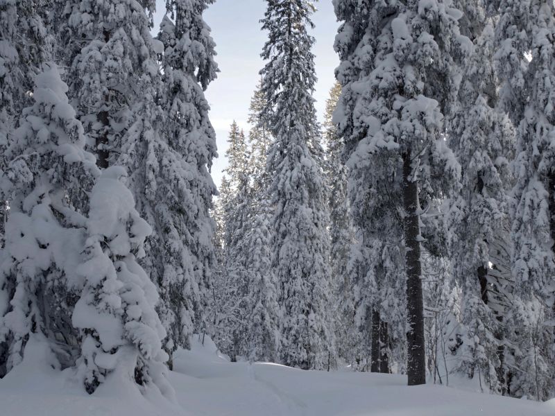 Ilustračné foto: Ing. Ján Slivinský 