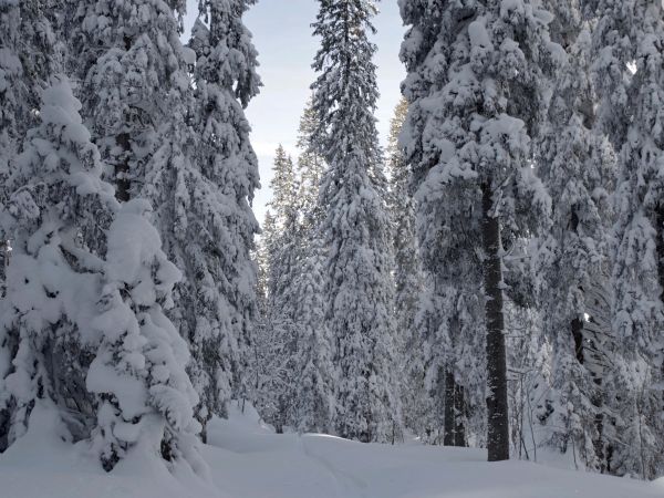 Ilustračné foto: Ing. Ján Slivinský 