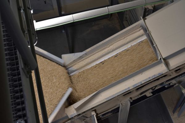 V&yacute;roba peliet 