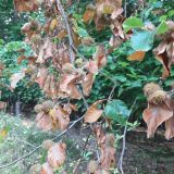 Ilustračn&eacute; foto: Ing. Du&scaron;an Miku&scaron; 