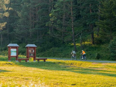 Ilustračné foto: archív Lesmedium.sk 