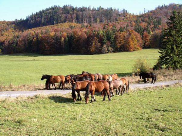 Pred desiatimi rokmi vznikli dva n&aacute;rodn&eacute; parky